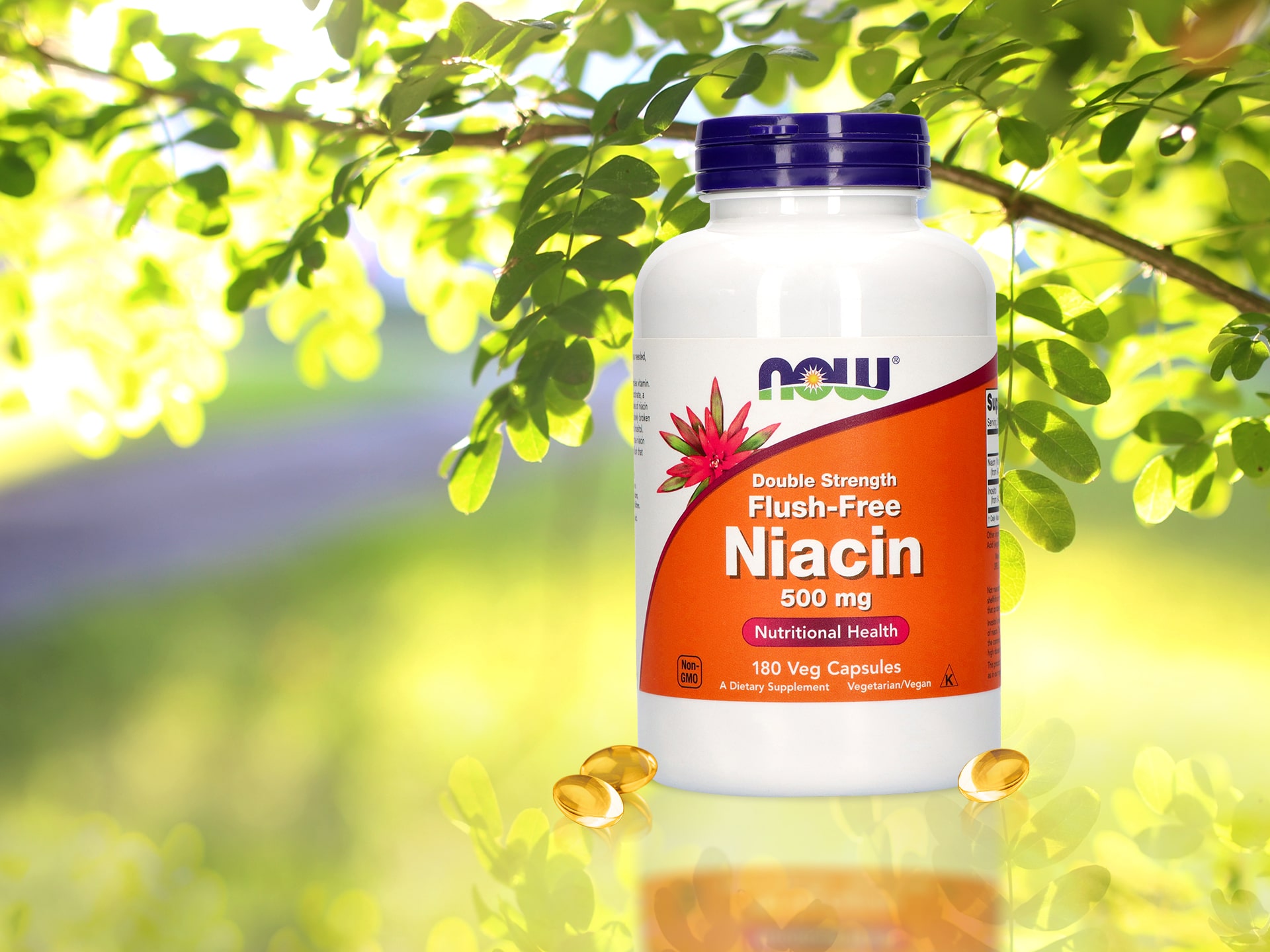 NOW Niacin Flush Free 500mg